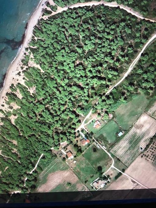 Villa Anastasia! In Strofylia Pine Forest!!! Manolas Buitenkant foto